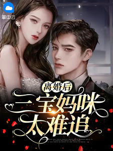 离婚后,三宝妈咪太难追