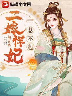 二嫁悍妃惹不起